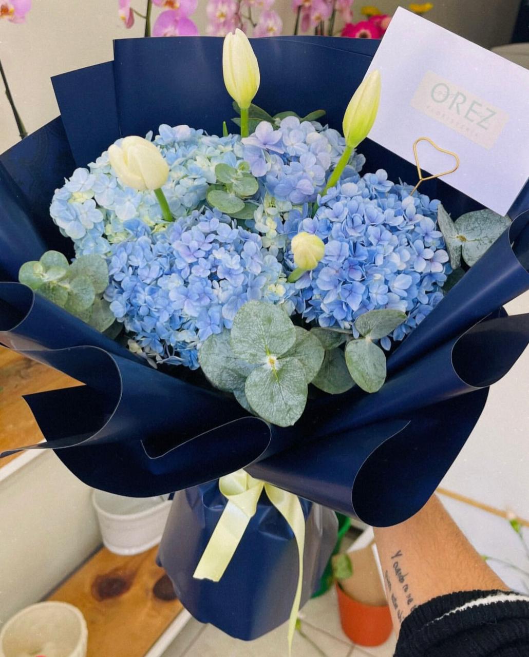 4 Hortensias y 4 Tulipanes con Follaje