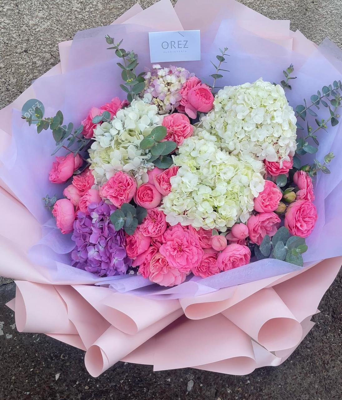 5 Hortensias, 2 Paq Rosa Inglesa y Follaje