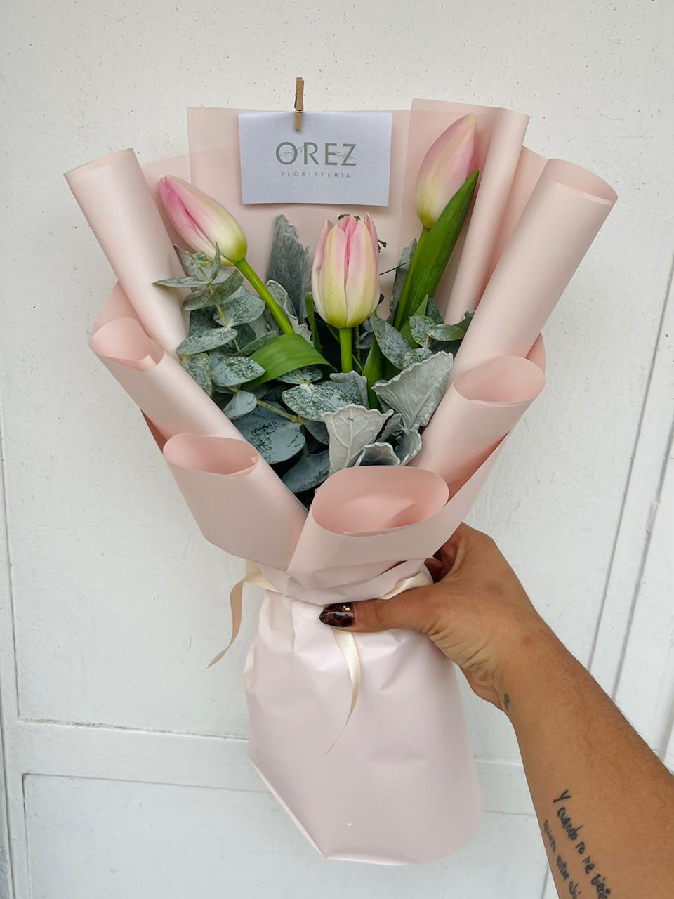 3 Tulipanes con Follaje